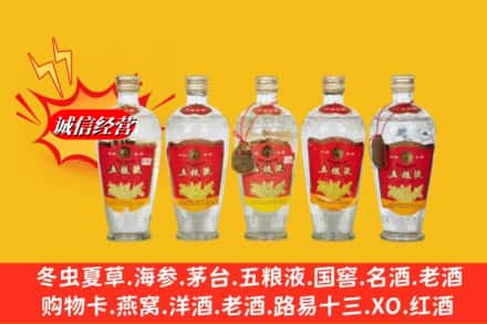凉山州金阳回收老五粮液