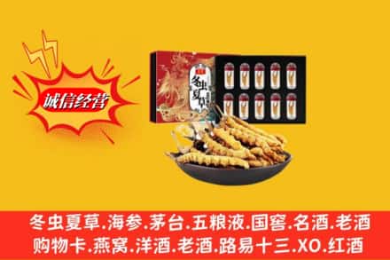 凉山州金阳回收冬虫夏草
