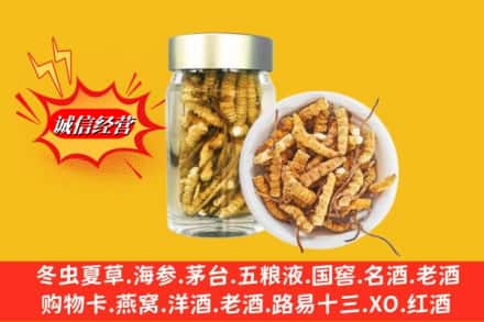 凉山州金阳求购回收散虫草